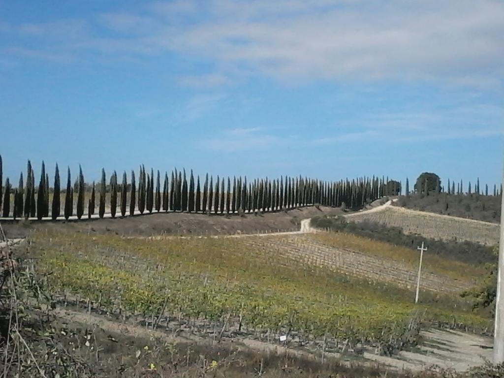 Cisterna Nel Borgo Hotel Castiglione dʼOrcia Екстериор снимка